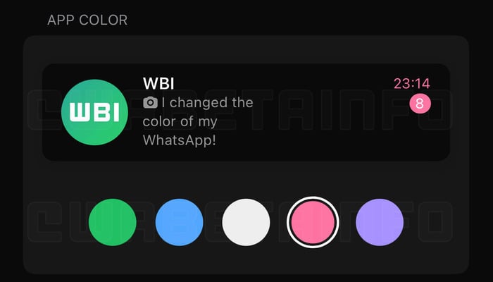 The image shows accent colours the lates iOS update will offer. — WABetaInfo