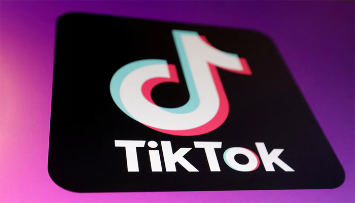 TikTok app logo is seen in this illustration taken January 16, 2025. — Reuters
