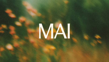 How to use Microsoft's AI image generator MAI-Image-1?